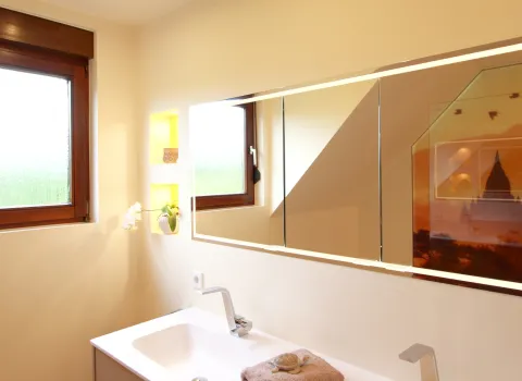 Beleuchteter Spiegelschrank über einem modernen Waschtisch mit Chromarmatur, seitlichem Regal mit Pflanzen und Blick auf das Glaswand-Motiv der Dusche.