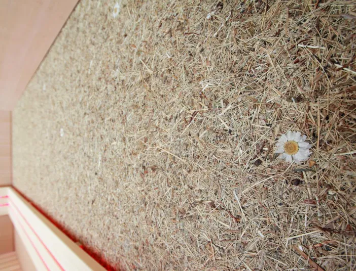 Detailaufnahme einer Naturwand mit Heu und Blüten in einer modernen Sauna mit stimmungsvoller Beleuchtung.